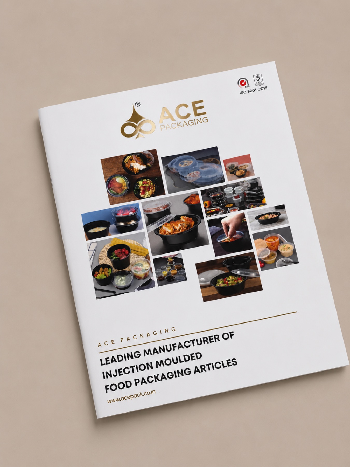 Ace Packaging brochure by D'sent Designs