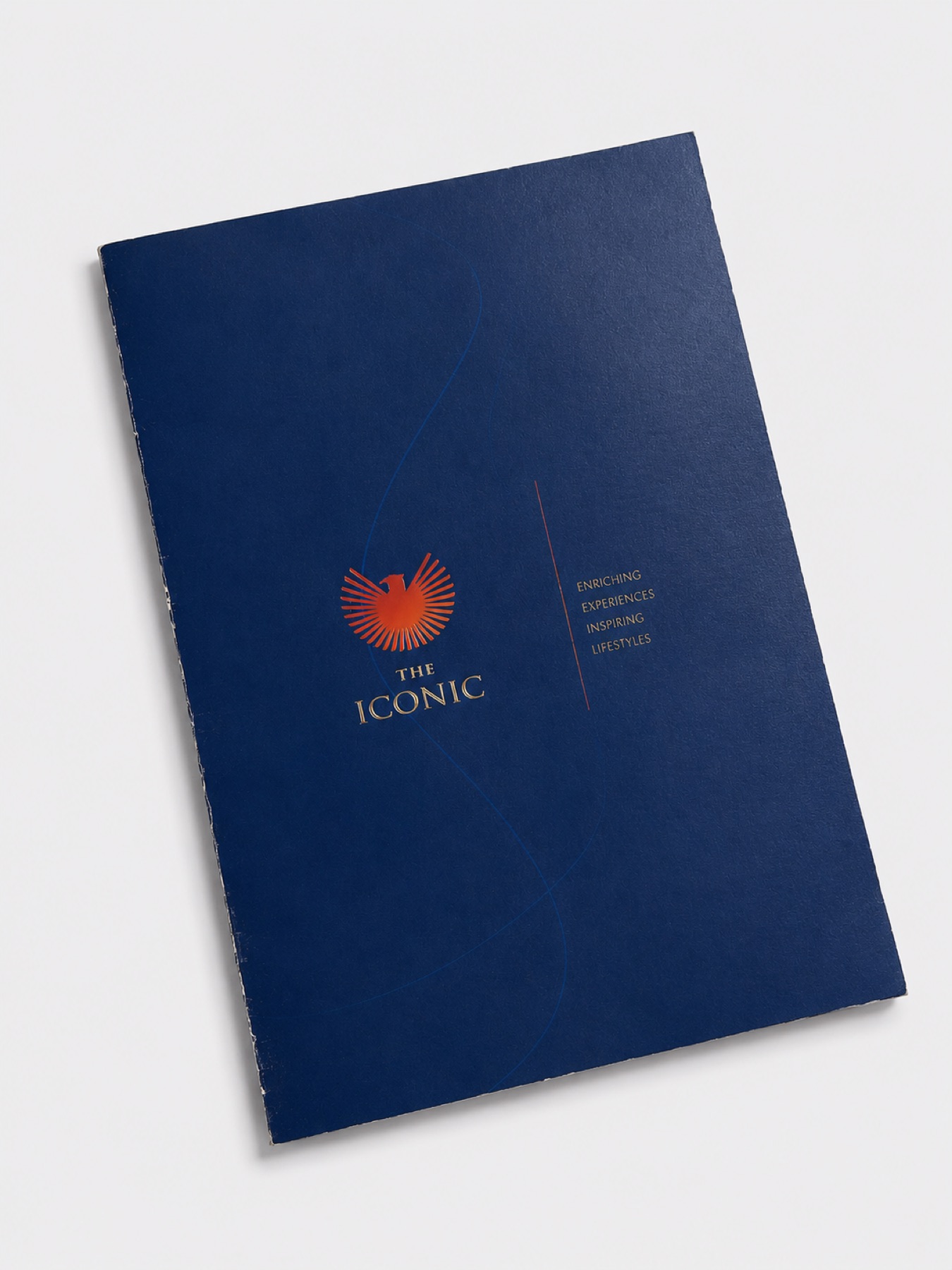 The Iconic brochure by D'sent Designs